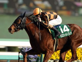 伝説の“暴露キング”がついに降臨！ 過去10年でも稀な極秘情報を解禁… JRAスプリンターズS（G1）がアツい！