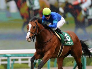 「馬券で生活している」前代未聞の集団が明かした特大万馬券的中の秘密とは!? スプリンターズSのヤバすぎる情報も激白！