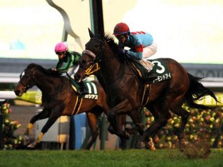 アーモンドアイに危険信号！ JRA天皇賞・秋（G1）のマスコミが知らない超衝撃情報を「神様」が暴露！