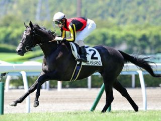 JRA天皇賞・秋（G1）の“タブー級”極秘情報が流出！ 知った者はウハウハ… 業界を揺るがす事態、プロがついに暴露！