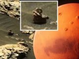 「亀の進化系」が火星で生きていた!?  うねる「亀型宇宙人」が発見される!
