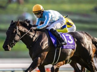 【緊急】JRAジャパンC（G1）アーモンドアイに不安情報!? 競馬史に残るレースで“超高額配当”か、ヤバすぎる関係者情報を特別公開