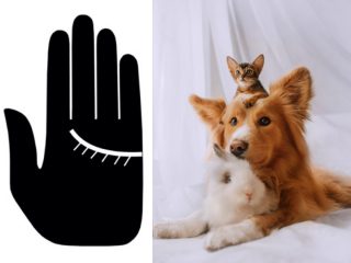 アナタは猫系？ 犬系？ うさぎ系？ 手相でわかる“本当の性格”!! 恋愛の相性もLove Me Doが徹底解説！