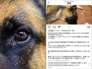 【動物虐待】「ペットトリマーに愛犬を殺された」事件の真相を取材!! “しつけ”で首絞め… 被害者の意味深発言と店の現状、録音証拠も!?