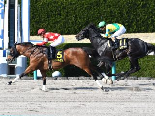 【必読】今週末のJRAフェブラリーS「新しい錬金術」で人生激変！ ストレスを吹き飛ばす一獲千金チャンス！