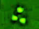 肉眼では見えないトライアンギュラーUFOが激撮される! 「TR-3B」なのか、レーザー光に誘われて正体露呈、研究者も大興奮!