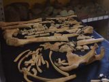 読むと震える「16世紀メキシコの血塗られた歴史」! 殺害、食人、報復、虐殺…