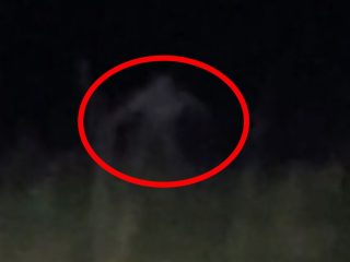 四つん這いの精霊「スキンウォーカー」がガチ目撃され、Tiktokでバズる！まじで怖すぎがハッキリ！