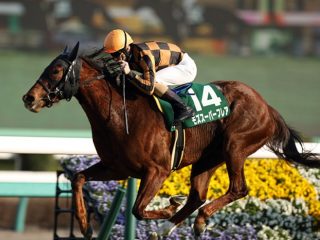 春競馬G1開幕！ 競馬マスコミに惑わされるな!? 週末のJRA高松宮記念（G1）で衝撃の特大万馬券に繋がる極秘データ流出！