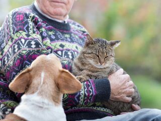 犬は「飼い主の浮気を想像して」嫉妬すると判明！ 想像以上に人間的な内面、定説覆る！（最新研究）