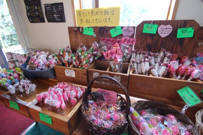 「次の夢はヘアヌード写真集」群馬の秘宝館珍宝館館長とみる女性器・男性器が崇高すぎる！ 村田らむが取材！の画像17