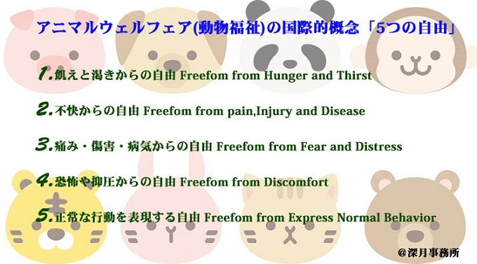 ゾウを精神崩壊させる残酷調教「パジャーン」とは!? 全国282カ所の動物園・水族館を偵察した活動家インタビューの画像1