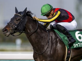 JRA 日本ダービー（G1）7,000頭の頂点、サトノレイナス大敗か!? 競馬関係者がヤバすぎる裏事情と「限りなく絶対に近い」極秘情報を暴露！