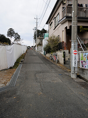 編集済み     「死人坂」をさまよう死者の霊(千葉県流山市)の画像2