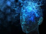 【重要】「我々の意識が時間と空間と現実を生んでいる」ランザ博士のバイオセントリズム理論とは? 過去は未来と同様に無限…