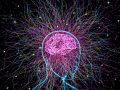 アセンションとは一体何？ 脳科学でわかった「次元上昇」の行先と方法…高次元へのアクセスは可能！