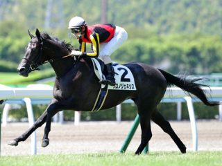 100円を数分で119万円に増やすチャンス到来か？ JRA宝塚記念（G1）まさかの特大万馬券情報が流出、クロスジェネシスに不安あり!?