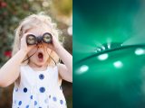 【必見】「UFOの本当の見つけ方」を東大教授がこっそり暴露! 未確認●●物体を発見せよ!