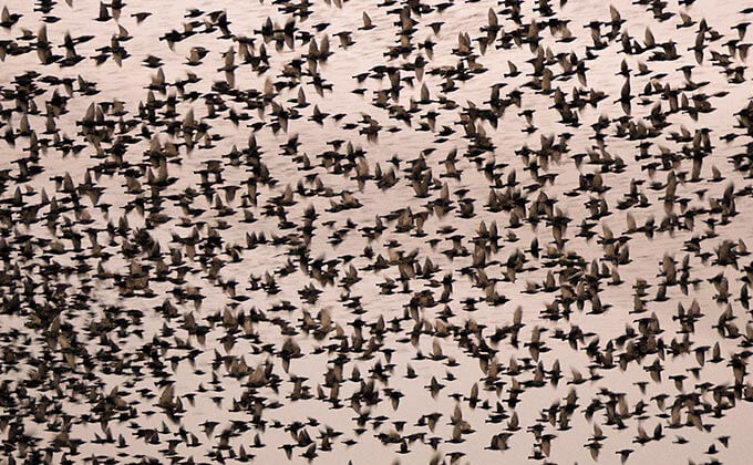 この秋の運勢をバク上げさせる方法がわかる4択占い! 仕事・恋愛・お金まで絶好調に… Love Me Doの助言で人生激変のチャンス!の画像2