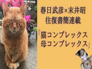 「あの時、看取れなくてごめんね」心がチクチク痛む猫の記憶とは？ そして樹海と自殺と母の病気（末井昭）