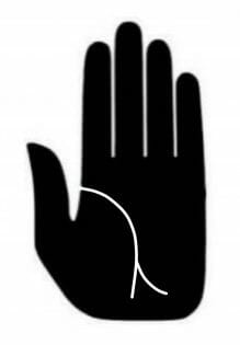 「海外で大成功する人」の手相をLove Me Doが解説!! 留学もビジネスも… 該当者は早めに出国を！の画像2