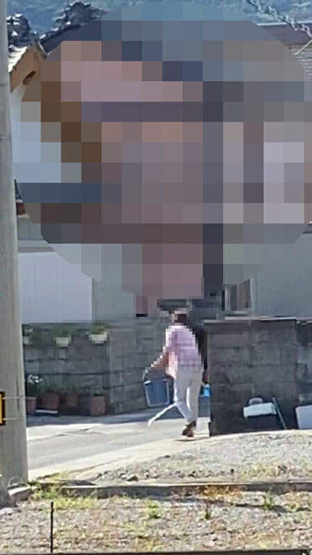 【スクープ】高知県・柏島で議員が猫を大量虐待か!? 毒殺の可能性も…衝撃動画も入手、住民も震えあがる!の画像1