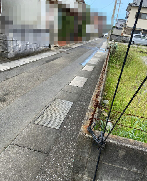 【スクープ】高知県・柏島で議員が猫を大量虐待か!? 毒殺の可能性も…衝撃動画も入手、住民も震えあがる!の画像2