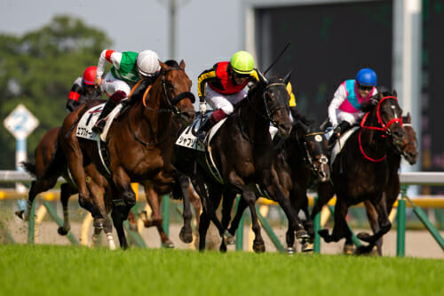 JRA天皇賞・秋（G1）の超極秘穴馬情報流出！ 史上初の衆院選と同日開催でキーワードは「49」か!?の画像1