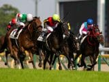 JRA天皇賞・秋(G1)の超極秘“穴馬”情報流出! 史上初の衆院選と同日開催でキーワードは「49」か!?