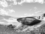 米軍のUFO回収プロジェクト「ムーンダスト計画」とは? 宇宙人の乗り物も…機密文書で判明