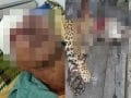 ジャガーに襲撃され失明した男の息子、マチェーテで父親の敵討ち！ 世界で相次ぐ猛獣VS人間の壮絶死闘！