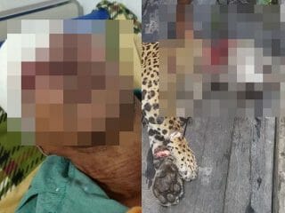 ジャガーに襲撃され失明した男の息子、マチェーテで父親の敵討ち！ 世界で相次ぐ猛獣VS人間の壮絶死闘！