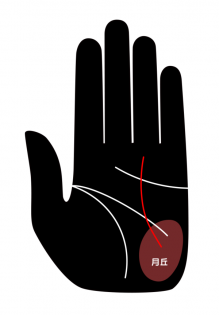 あなたが秘めた「カリスマ度」がわかる手相占い! 実は政治家やタレント向き… Love Me Doがズバリ断言!の画像3