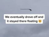 空中に浮かぶ「空飛ぶほうき」が激撮される! 股間の痛みで魔女が落下した可能性!