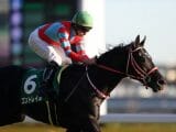 JRAジャパンC(G1)「全マスコミが見逃している」超穴馬情報を関係者が暴露! 断然人気のコントレイル消しで特大万馬券!?
