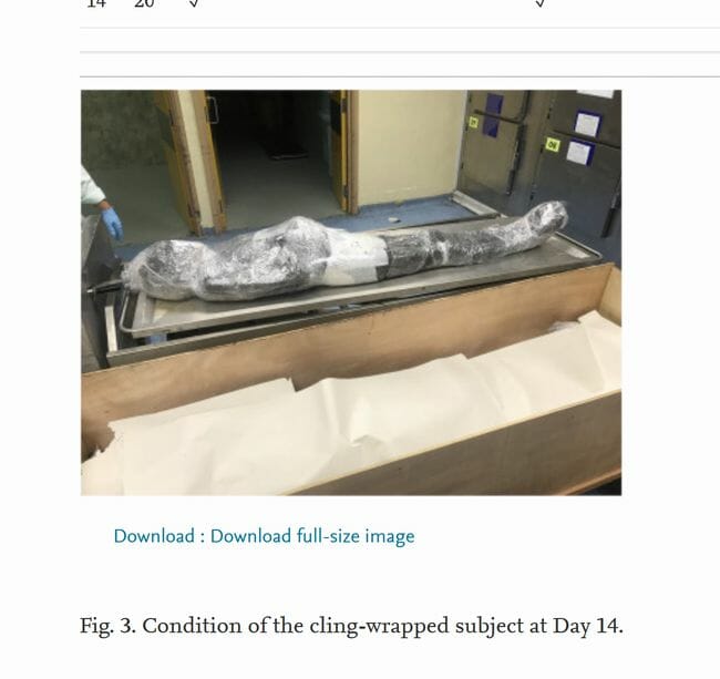 死体を食品用ラップで包んで保管するとどうなる!? 法医学誌掲載の実験結果に衝撃の画像4