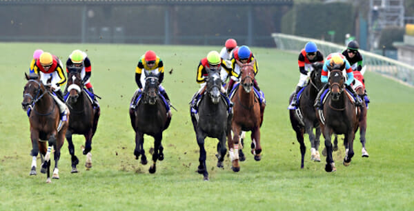 【極秘】JRA有馬記念（G1）的中の鍵は長澤まさみにあり!? 武豊もびっくりの激ヤバ展開を関係者激白の画像1