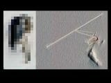 南極で巨大なジーザスの顔が発見される! やはり宇宙人が…