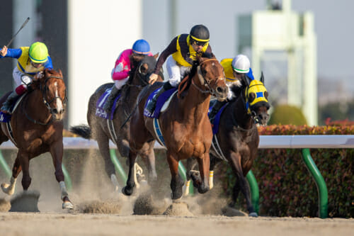 万馬券的中させまくる7人の賢者が内部情報をリーク！ 週末のJRAフェブラリーSは札束乱舞か!?の画像1