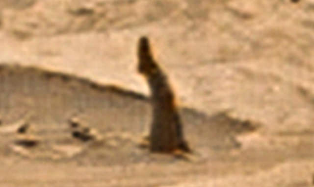 火星の地表に人間の脚が突き刺さっていた! 異様な発見に研究者も大困惑(最速ニュース)の画像1