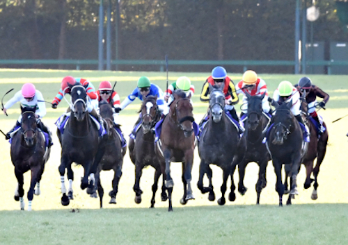 関西馬を豹変&爆走させる極秘トリガーとは!? JRA大阪杯でエフフォーリアを打倒する「究極穴馬」も！の画像1