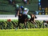 100円を100万円に変える謎の集団「暴露王」を取材! JRA高松宮記念(G1)のウラ情報も
