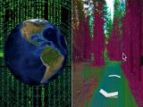 この世がシミュレーションである決定的証拠か!? カリフォルニアの森で異様な“不具合”を発見!