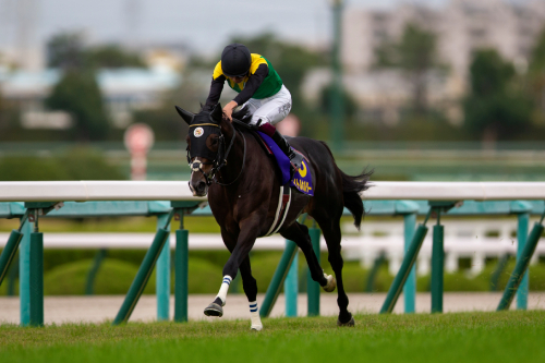 ウマ娘も武豊も驚愕、「馬券だけで食っていける」競馬集団の秘密とは!? 天皇賞・春の大荒れ情報も流出の画像1