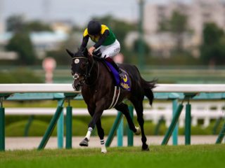 ウマ娘も武豊も驚愕、「馬券だけで食っていける」競馬集団の秘密とは!? 天皇賞・春の“大荒れドラマ”を演出する激走穴馬情報