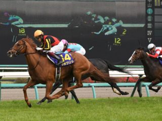 JRA日本ダービー（G1）の信じられない結末が見えた！ 超高額万馬券を引き寄せる「伝説のダービージョッキーの厳選3頭」とは!?