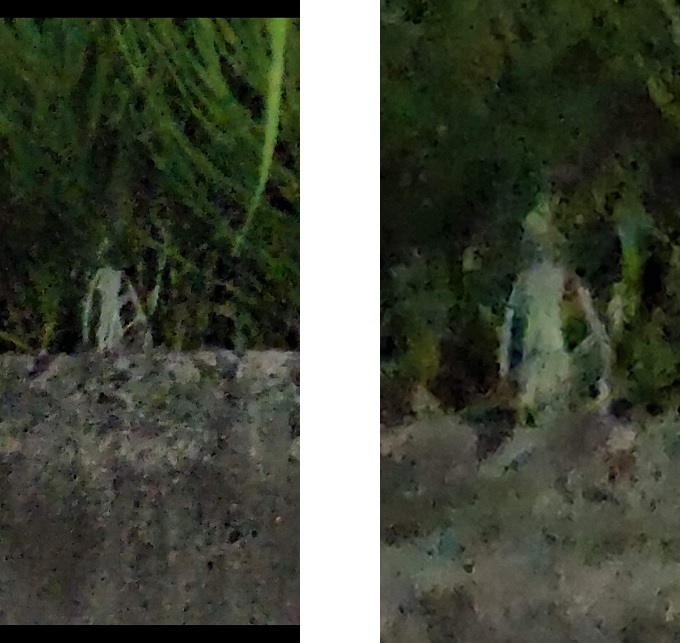 【スクープ】東京・町田に身長25cmの宇宙人が出現! 異様すぎるヘルメット姿… 証拠写真を初公開、対話にも成功!の画像1