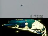 「空飛ぶイルカ」出現か! 宇宙人に60回拉致された男が謎すぎるUFO映像を公開!