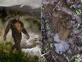 UMAビッグフット一家の足跡を研究団体が発見！ 次々判明する衝撃事実