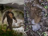 UMAビッグフット一家の足跡を研究団体が発見！ 次々判明する衝撃事実
